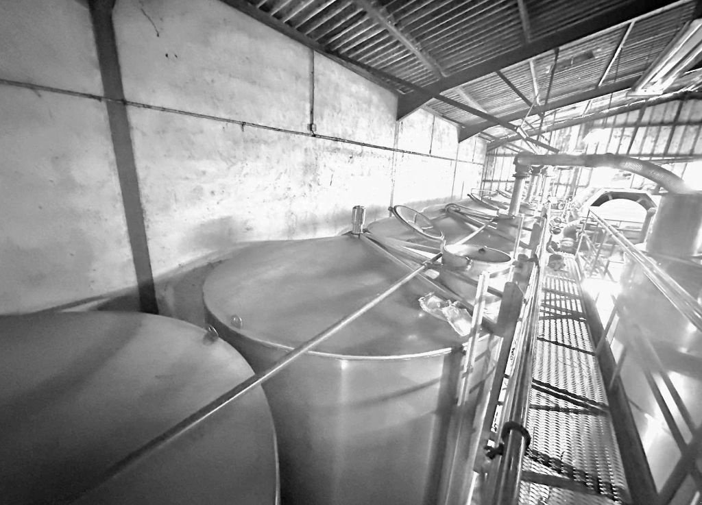 Sonstige Obsttechnik & Weinbautechnik tip Sonstige - CIDEC | Cuve inox 316 - Fond conique - 215 HL, Gebrauchtmaschine in Monteux (Poză 6)